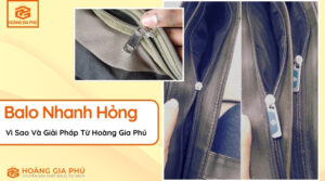 Vì Sao Balo Nhanh Hỏng Giải Pháp Từ Hoàng Gia Phú